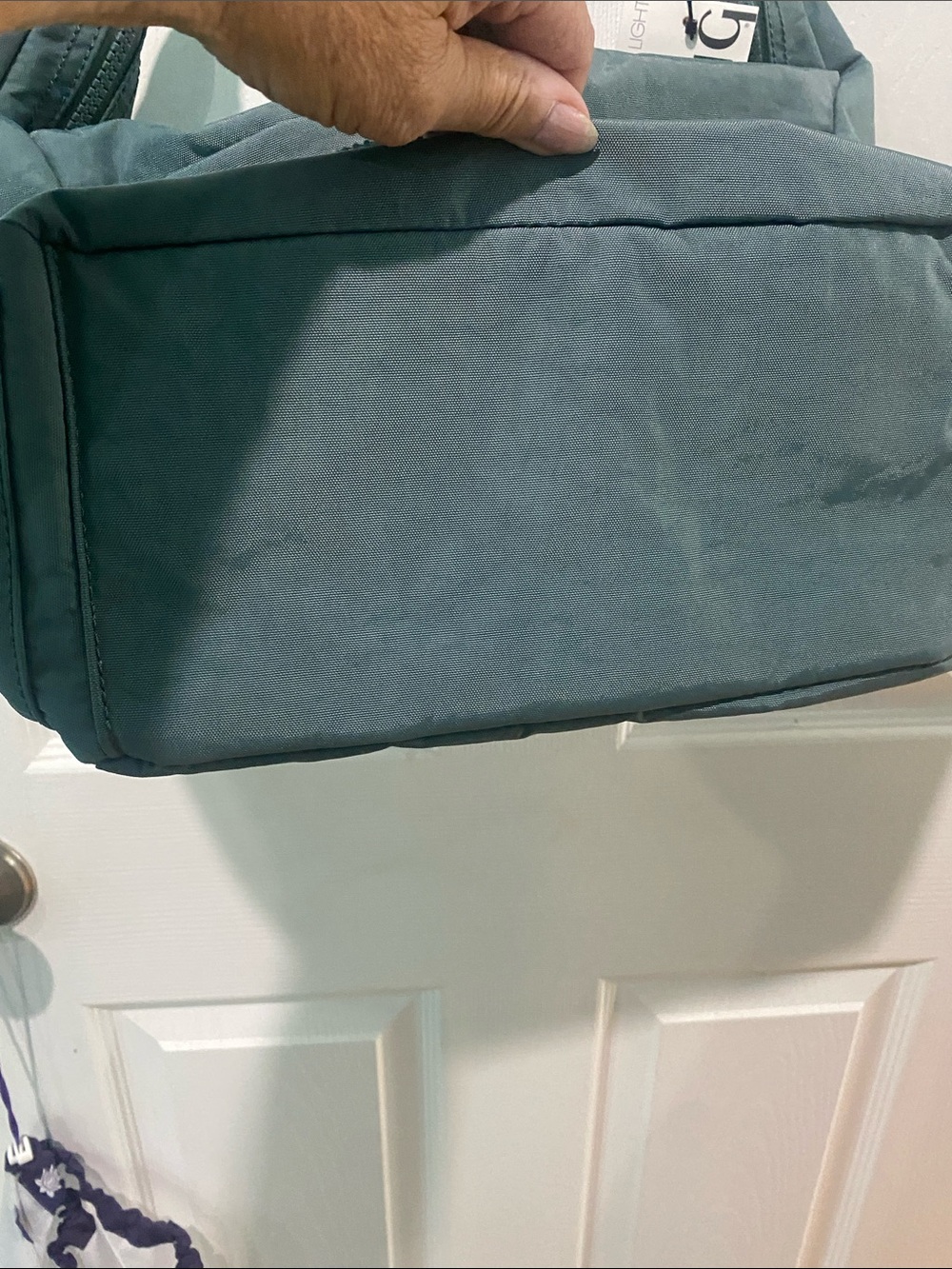 Kipling “Erica” Light Aloe Tonal Color - Picture 10 of 11